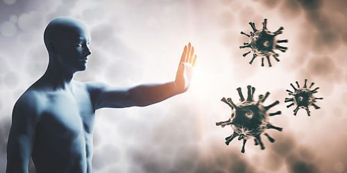 Titel Immunsystem